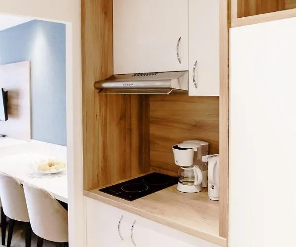 Haus Am Luxury Hs 228 B 公寓 戈斯拉尔